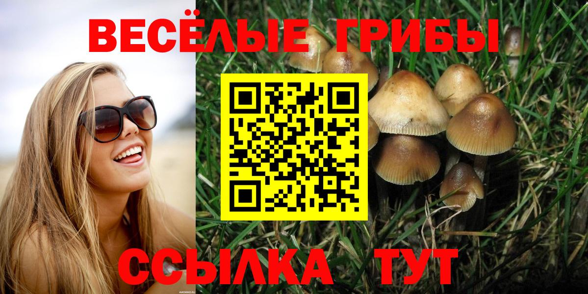 Галлюциногенные грибы ЛСД  Вход с VPN  Москва 